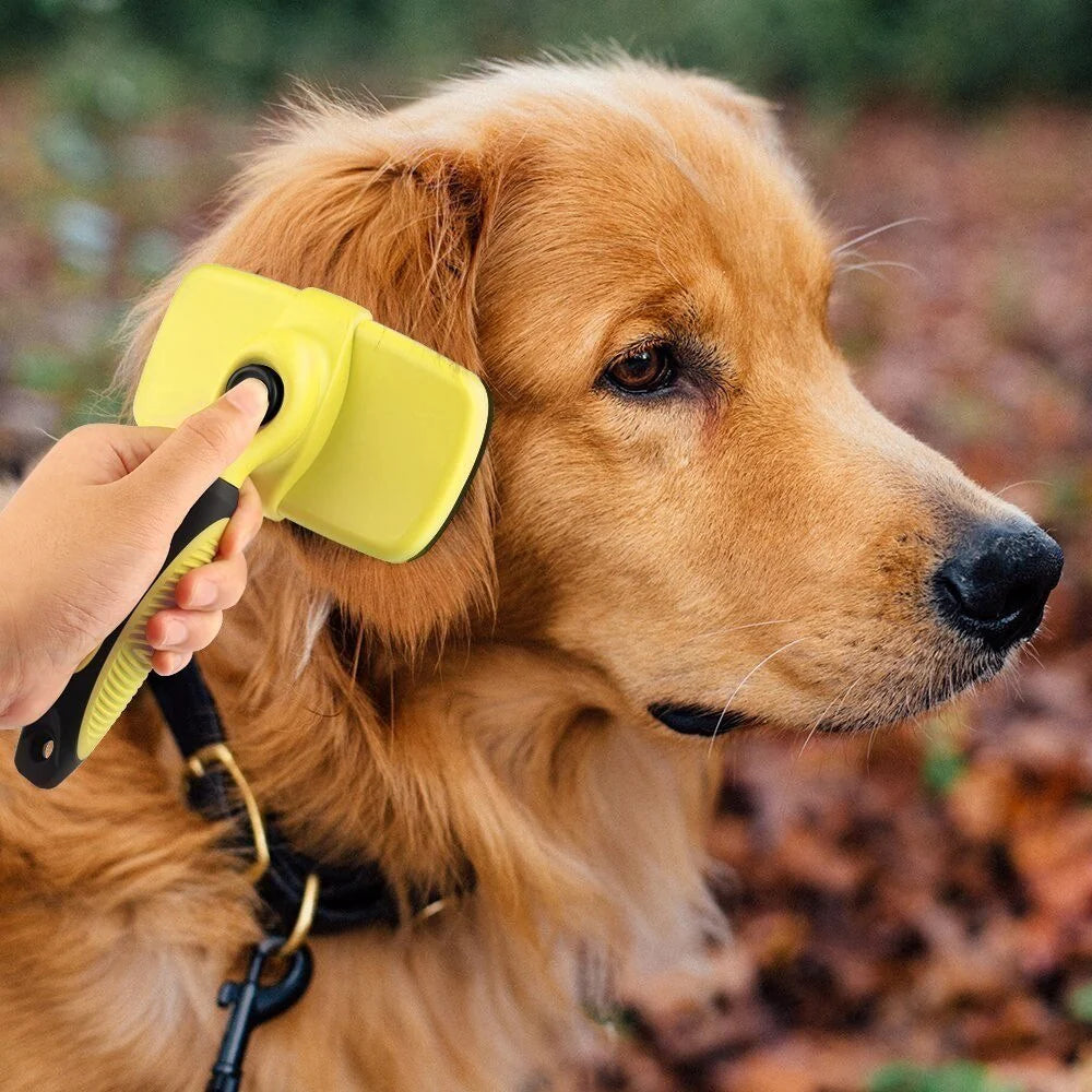 Self Cleaning Dog Brush