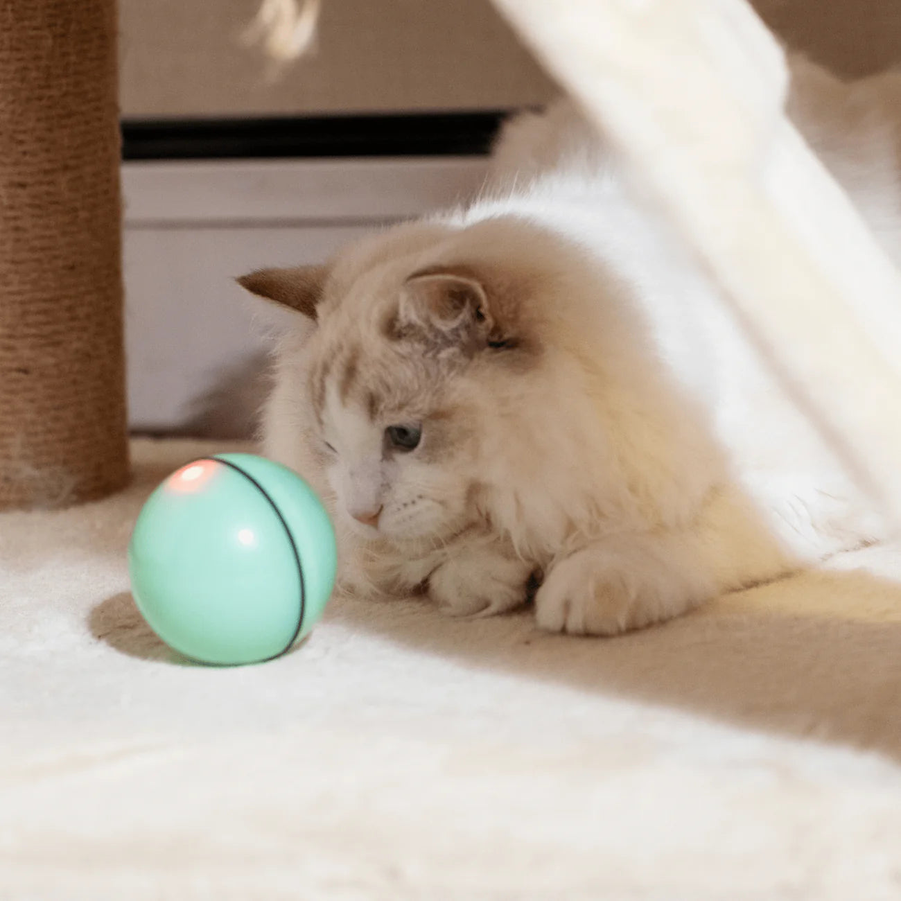 Smart Interactive Pet Ball