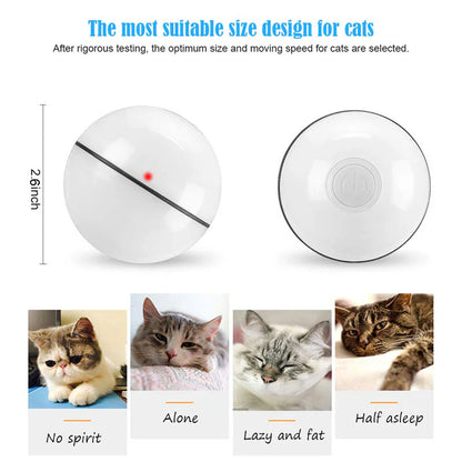 Smart Interactive Pet Ball