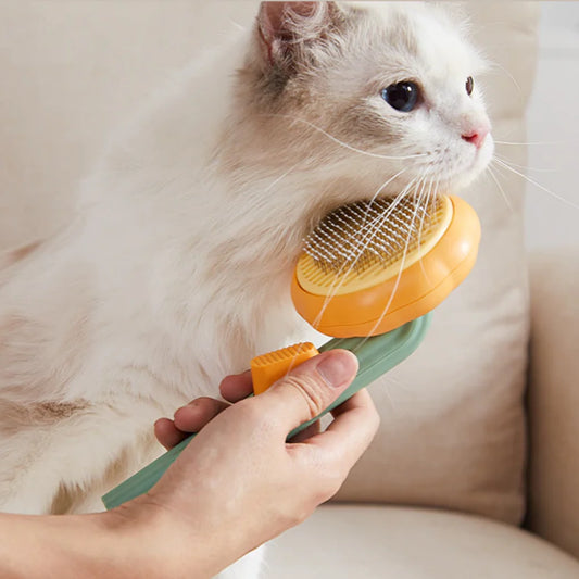 Pumpkin Pet Brush, Self Cleaning Slicker Brush