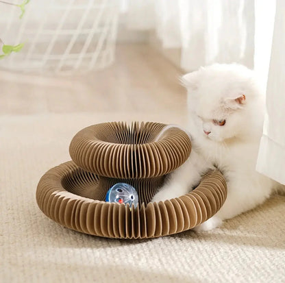 Magic Organ Cat Toy Cats Scratcher